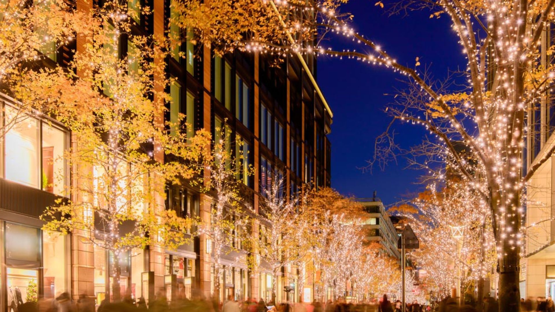 Winter Holidays in Japan: Finding Cozy Rentals Near Illuminations and Christmas Markets